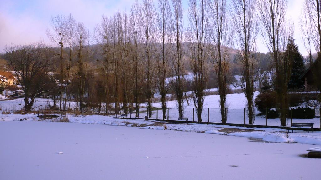 Apartamento La Maison Des Fontaines D'Alsace Ferrette Exterior foto