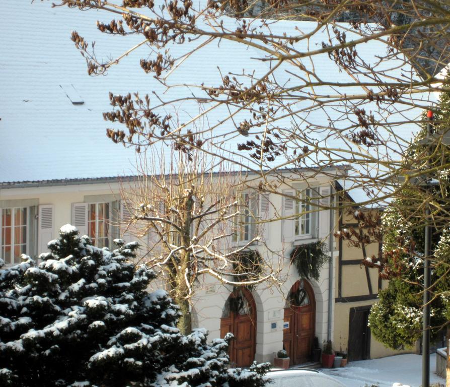 Apartamento La Maison Des Fontaines D'Alsace Ferrette Habitación foto