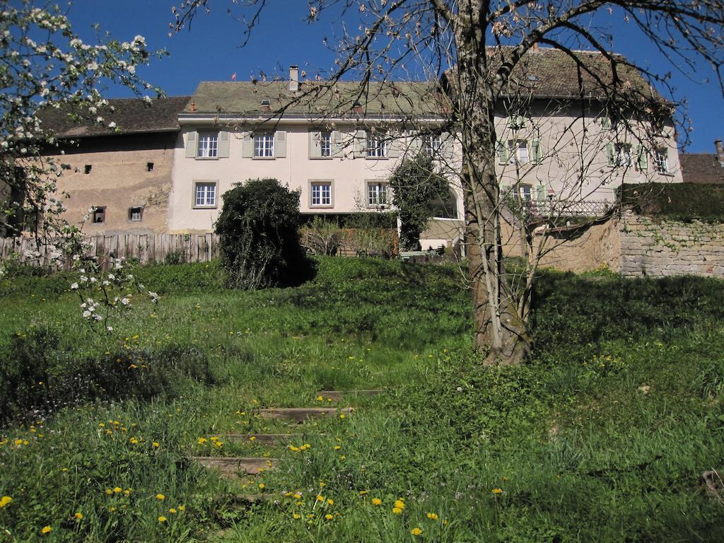 Apartamento La Maison Des Fontaines D'Alsace Ferrette Habitación foto