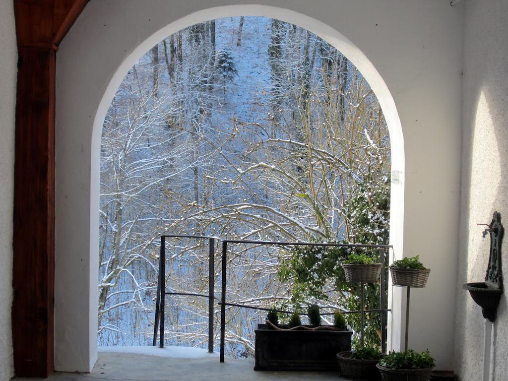 Apartamento La Maison Des Fontaines D'Alsace Ferrette Habitación foto